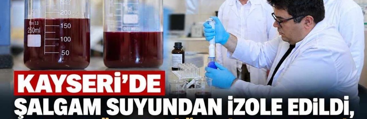 Erciyes Universitesi salgam suyu arastirmasi kolon kanseri hucrelerini yuzde 90 azaltti