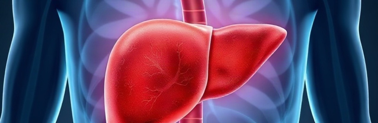 Karaciğer kanserinde yapay zekâ: Gözden kaçan 15 tümör yakalandı