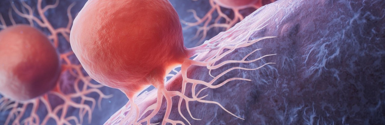SLAMF6: Bagisikligin Gizli Freni Immunoterapide Yeni Umut