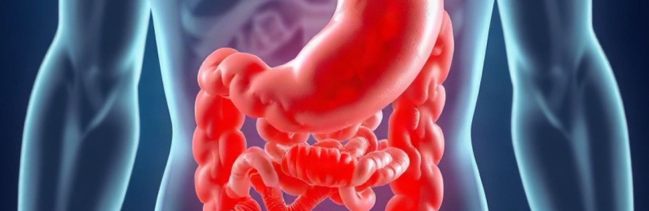 Helicobacter pylori tedavisi mide kanseri riskini yuzde 36 azaltiyor