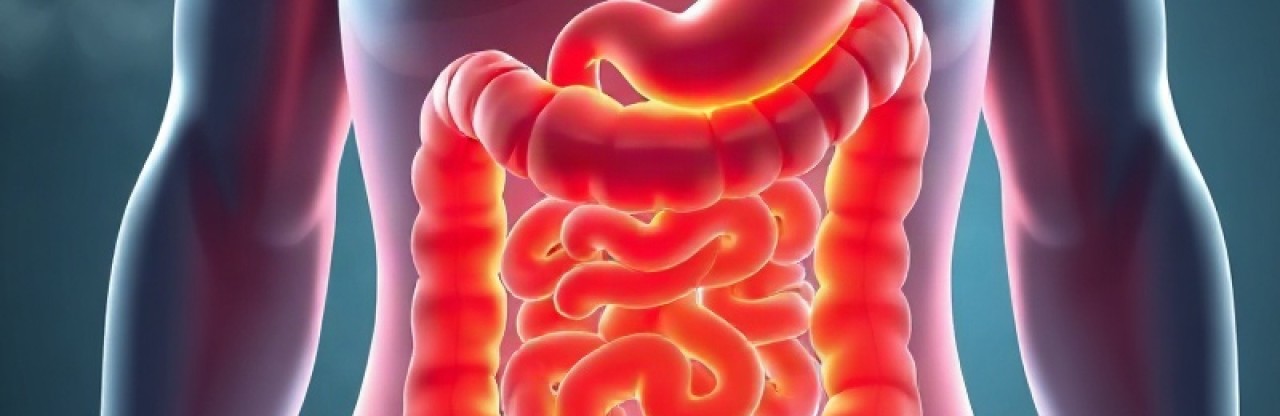 Kolon Kanserinde İmmünoterapi Dönemi: FDA’dan Tecentriq Onayı