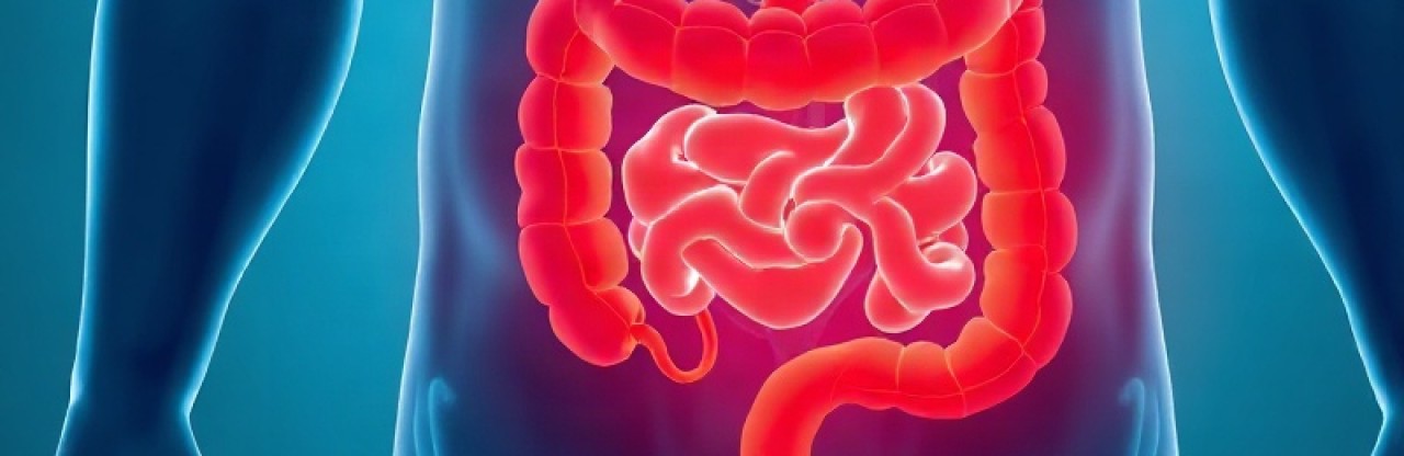 Kolon Kanserinde İmmünoterapi Dönemi: FDA Tecentriq’i Onayladı
