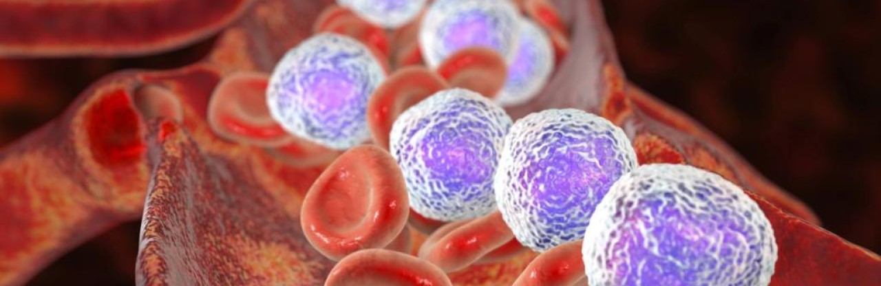 Lösemide Kemoterapisiz Dönem: Ponatinib-Blinatumomab İkilisi