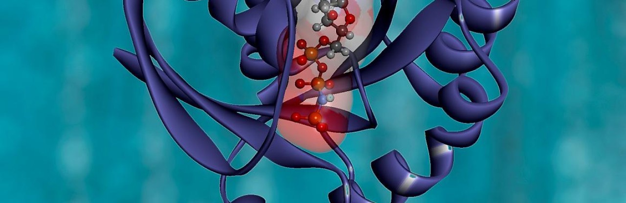 Pankreas Kanserinde KRAS G12D İlacı INCB161734: ESMO 2026 Umut Verdi