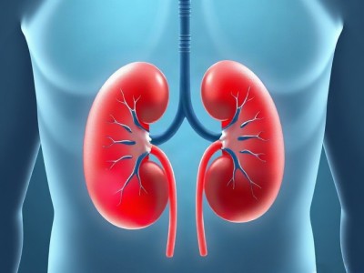 Böbrek Kanserinde Welireg + Lenvima Kombinasyonu FDA Onayı Aldı