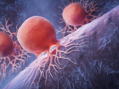 SLAMF6: Bagisikligin Gizli Freni Immunoterapide Yeni Umut