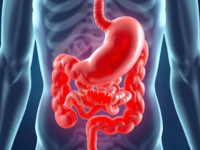 Helicobacter pylori tedavisi mide kanseri riskini yuzde 36 azaltiyor