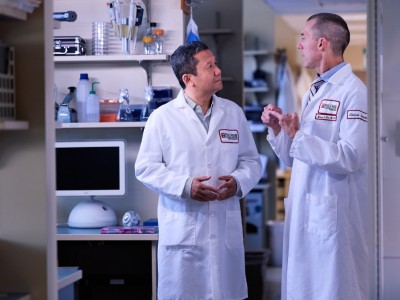 Kalitsal kanser riskinde BRCA otesi: Yapay zeka gizli genetigi cozuyor
