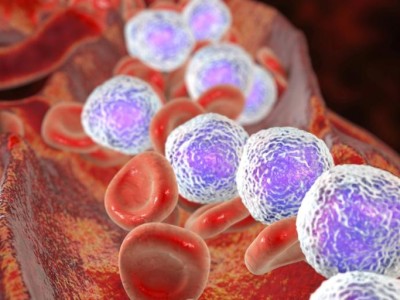 Lösemide Kemoterapisiz Dönem: Ponatinib-Blinatumomab İkilisi