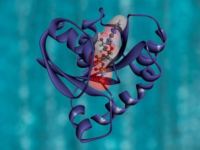 Pankreas Kanserinde KRAS G12D İlacı INCB161734: ESMO 2026 Umut Verdi