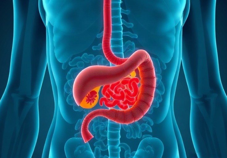 ESMO 2026’da immünoterapi atılımı: 8 kanser türünde tümör küçüldü