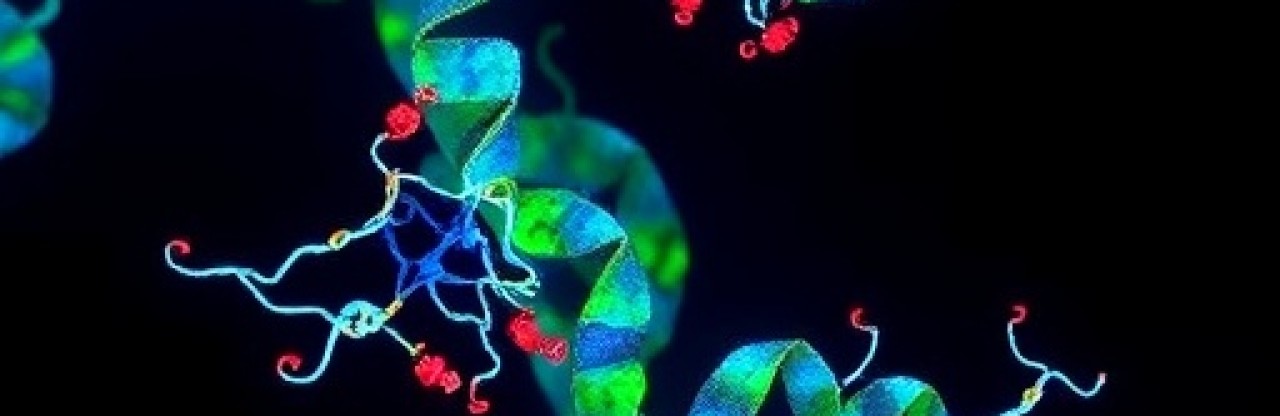 Üçlü negatif meme kanserinde MINK1 inhibitörü tümörleri küçülttü