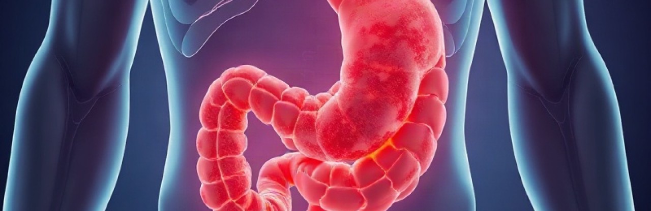 İşlenmiş et kanser riskini artırıyor: 30 gram bile tehlikeli
