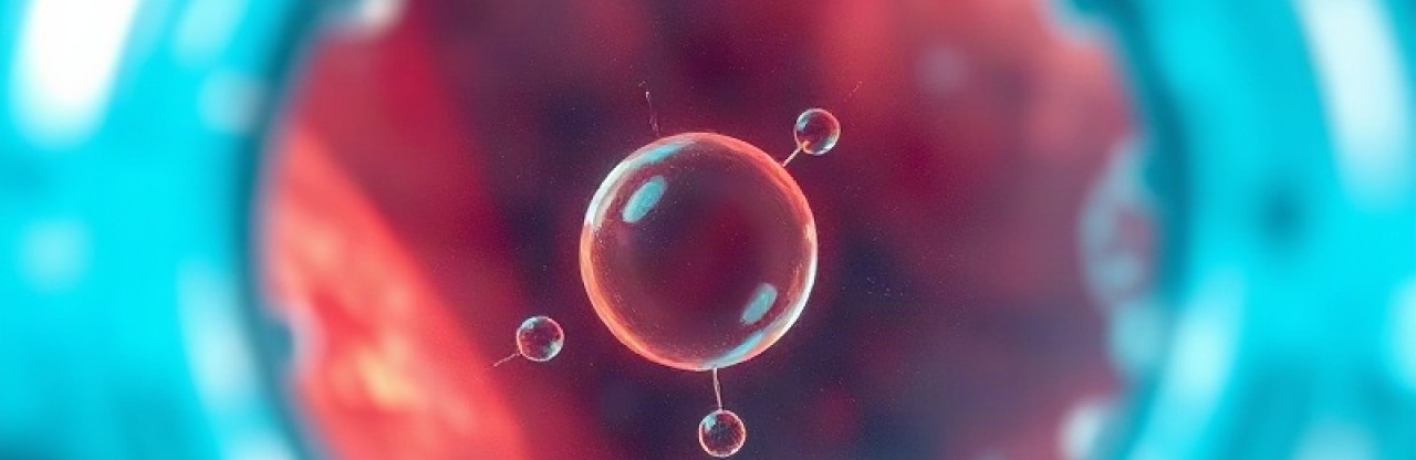 Miyelom tedavisinde etentamig umudu: Faz 3 çalışmada risk yüzde 60 azaldı