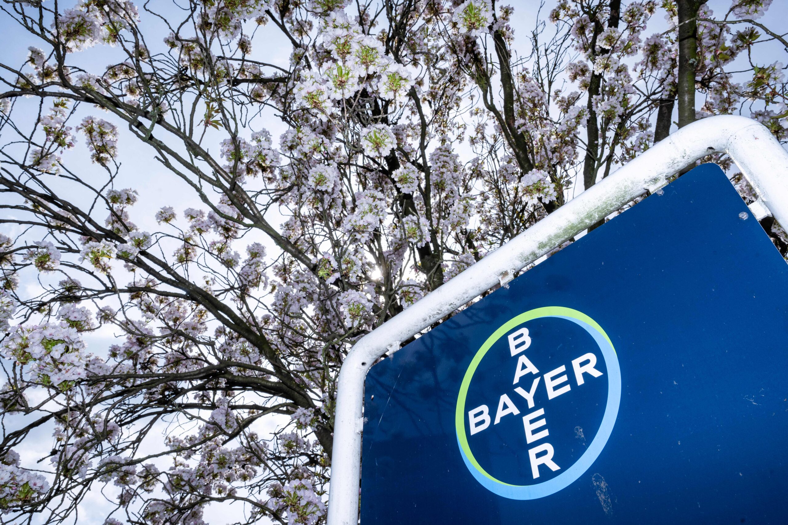 Hyrnuo sevabertinib akciğer kanseri ilacı ilk basamak tedavi FDA onayı