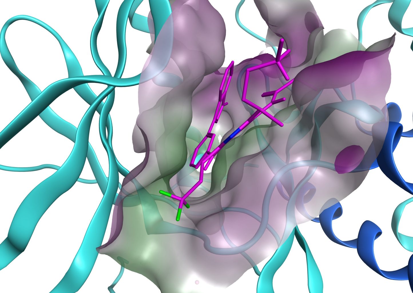 Firmonertinib molekülünün PACC mutasyonlu EGFR proteinine bağlanmasını gösteren bilgisayar modellemesi