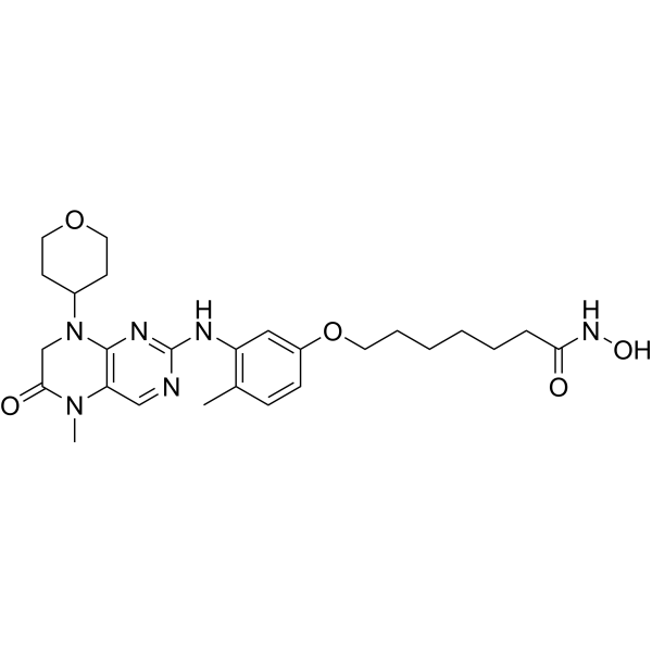 Akut miyeloid lösemi tedavisi için geliştirilen DH-1 çift inhibitörünün çalışma mekanizması