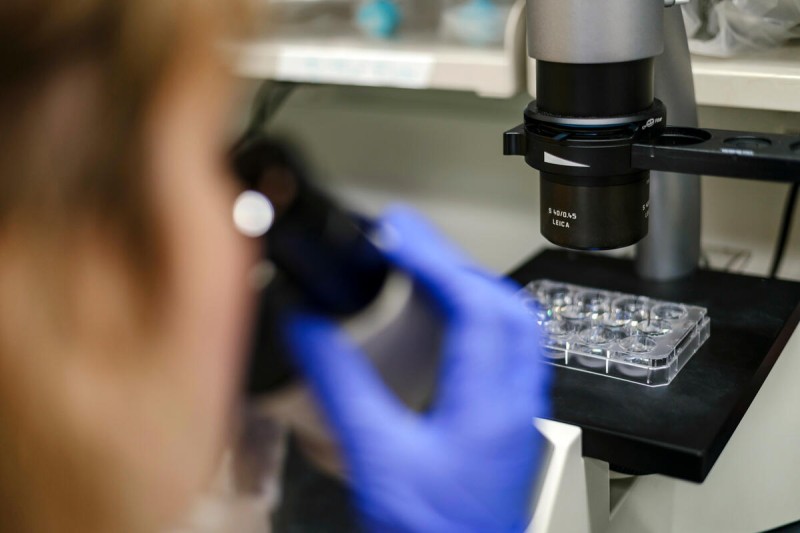 MSK araştırmacısı mikroskop başında leptomeningeal metastaz araştırması
