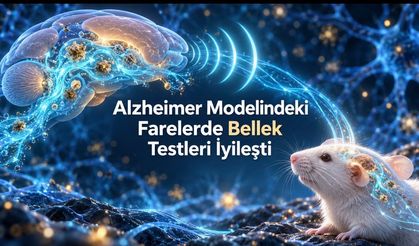p53 proteini ve RNA ile kanser tümör küçülmesi araştırması