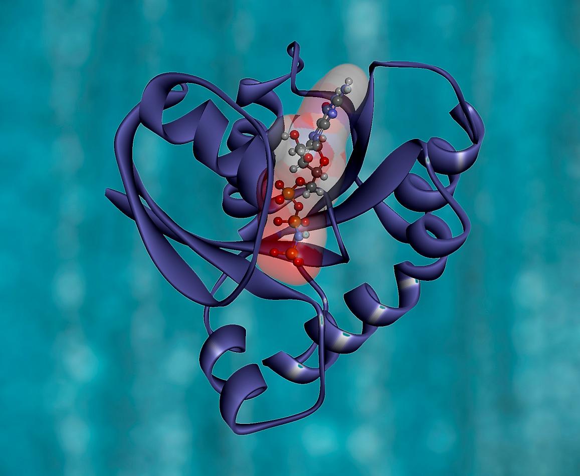 Pankreas kanserinde KRAS G12D inhibitörü INCB161734 ESMO 2026 sonuçları