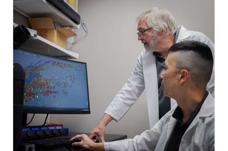 Texas A&M araştırmacıları Dr. James Fluckey ve Dr. Peter Nghiem mikroRNA çalışmasını inceliyor